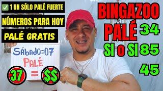 NÚMEROS PARA HOY SÁBADO 07 DE 2025 JUNIO ALEX NÚMEROS