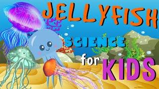 Jellyfish | Science for Kids