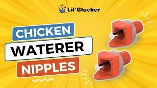 LIL'CLUCKER Horizontal Chicken Waterer Nipples (Easy Install, No Leak, and with free Drill Bits)
