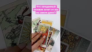 #чувствакомне #tarot #мыслиобомне #какотносится #мысли #love #таро #чтодумает