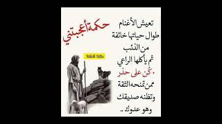 حكم واقوال عن الحياة #حكم #حكمة_اعجبتني #حكمة_اليوم #حكمة_رائعة #اقوال_الجوكر #shortvideo