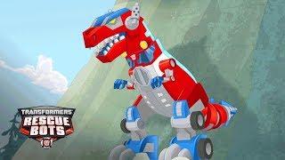 Optimus Prime's Primal Mode, T-Rex! | Official Clip | Rescue Bots Season 3 | Transformers Junior