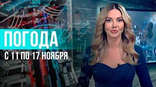 Погода на неделю 11-17 ноября 2024. Прогноз погоды. Беларусь | Метеогид