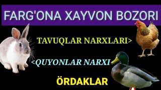 BESH BOLA TAVUQ BOZORI YANGI NARXLAR #tavuqbozor #beshbolatavuqbozori #tavuqbozori