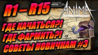 Где качаться по началу. Anima ARPG. Где фармить?! Где много мимиков ?