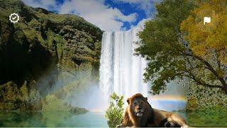 beauty of nature /waterfalls /Free HD Videos-No copyright footages