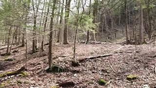 Iron Trail Guide - Ice in the trail