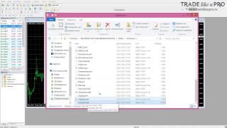 Как установить форекс индикатор в терминал Metatrader 4 1