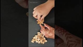 waste pista shell wall hanging craft||wall hanging||#trending#craft#diy#walldecor#waste#viral