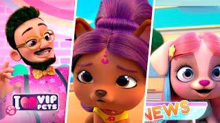  COLOURFUL HAIR  COLLECTION  VIP PETS   HAIRSTYLES ‍️ Full EpisodesFor KIDS in ENGLISH