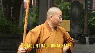 Shaolin Temple India - Shifu Kanishka