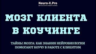 КОУЧИНГ И МОЗГ КЛИЕНТА #нейробиология #мозг #коучинг #coaching #коучсессия