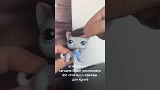 lps unboxing/распаковка лпс стоячки и одежды для monster high