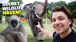 Private Tour of Cambodia's BEST Wildlife Rescue Center!