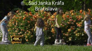 Sad Janka Kráľa (Janko Kral garden) in 4K with nature sound and Electronic bright music -UHD - 2160p