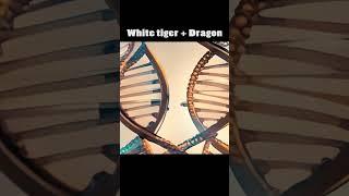 [AI] White tiger + Dragon.