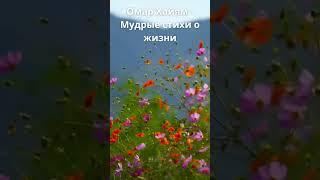 Омар Хайям - Мудрые стихи о жизни