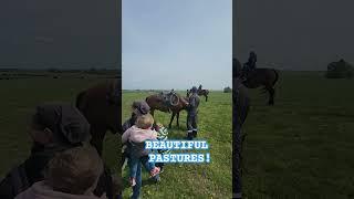 I believe Heaven will look a lot like This! #Miratorg # Russia #Ranching