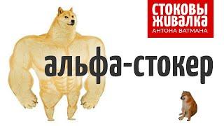 Альфа-стокер. Вебинар "Стоковыживалка" - Антон Ватман отвечает на вопросы о стоках.