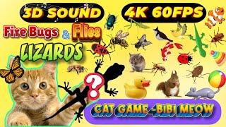 CAT GAMES BiBi TV | Ultimate Cat TV Compilation SPECIAL VOLUME #91 | 3 HOURS | Game On Screen 