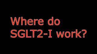 Where do SGLT-I work? ( -flozin) NAPLEX TIPS