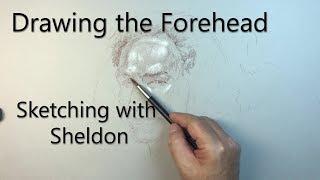 Drawing forms for the forehead - Sketching With Sheldon #29