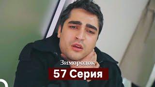 Зимородок 57 Cерия (Русский дубляж)