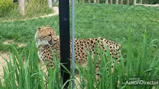 Columbus Zoo & Aquarium