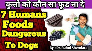 Foods Dengereous To Dogs || Pets || Puppies || #Shorts || #drrahulvets
