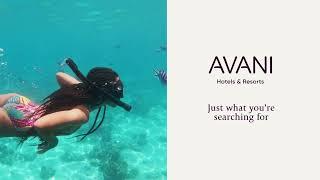 Avani : Life is always better at the beach. Find the one for you.