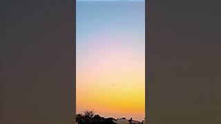 sabah al khair #goodmorning #morningbeauty ##morningvibes #shorts #youtubeshorts #naturebeauty