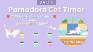 Pomodoro Cat Timer 25/5 ⏰ Let's Focus and Get Homework / Work Done in 1 Hour!  Gentle Rain Sounds