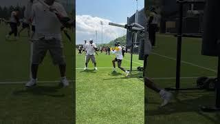 DK  #Steelers #NFL #Shorts