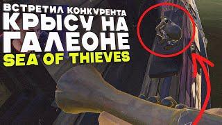 Встретил конкурента крысу ! Sea of Thieves