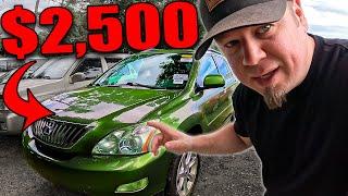 DEALERS FEELING THE PAIN - So I Bought Their Cars (Here's What I Paid)