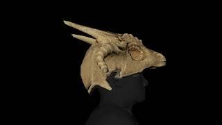 Dragon Skull Helm - Stylized Game Asset