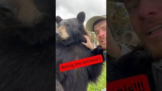 Rating the animals part 1! #animals #awesomeanimals #animalsofyoutube