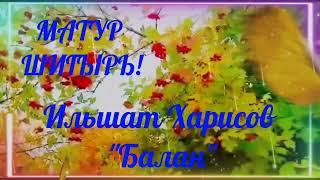 МАТУР ШИГЫРЬ! ИЛШАТ ХАРИСОВ "БАЛАН" АУДИОКНИГА АУДИОКИТАП СТИХИ НА ТАТАРСКОМ ЯЗЫКЕ ИЛЬШАТ ХАРИСОВ