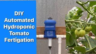 DIY automated fertigation system for hydroponic tomatoes, hydroponic lettuce, or anything else!