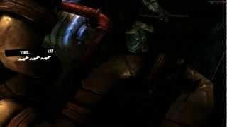 Batman: Arkham Asylum - Invisible Predator [78.86 seconds/No Damage] - Paranoid1996