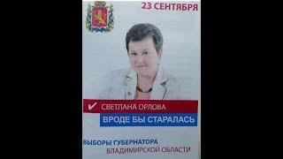 Орлова: "Вроде бы старалась..." экс губернатор Владимирской области в истерике