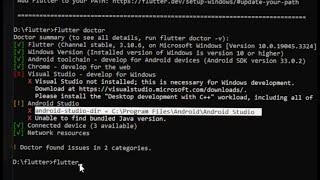 Android-studio-dir = c:\program Flutter doctor : How to fix issue fix android studio dir error @pro