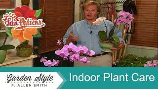 Indoor Plant Care: Orchids & Elephant ears | Garden Style (1003)