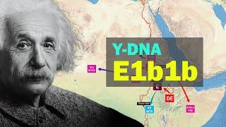 Origin and spread of E1b1b, the paternal DNA to which Einstein belongs