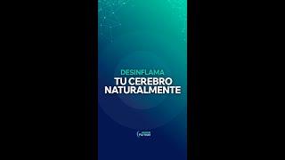 1️⃣ alimento ANCESTRAL para la INFLAMACIÓN CEREBRAL