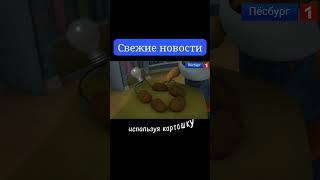 свежие новости / отключение света #барбоскины #новости #рофл #а4лох