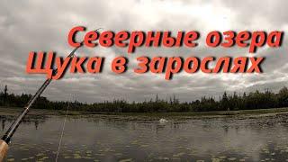 Рыбалка на щуку в зарослях кувшинки. Разведка щучьих мест.Подводная сьемка.Рыбалка 2021.