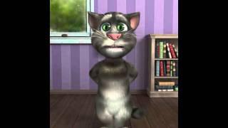 Talking Tom Nabucco