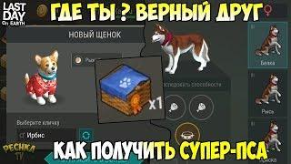 БУНКЕР АЛЬФА И ВЕРНЫЙ ДРУГ! КАК ВЫВЕСТИ СОБАКУ ВЕРНЫЙ ДРУГ?! - Last Day on Earth: Survival