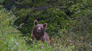 Через горы к морю. "Тридцатка" Часть 3